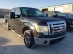 2009 FORD  F-150