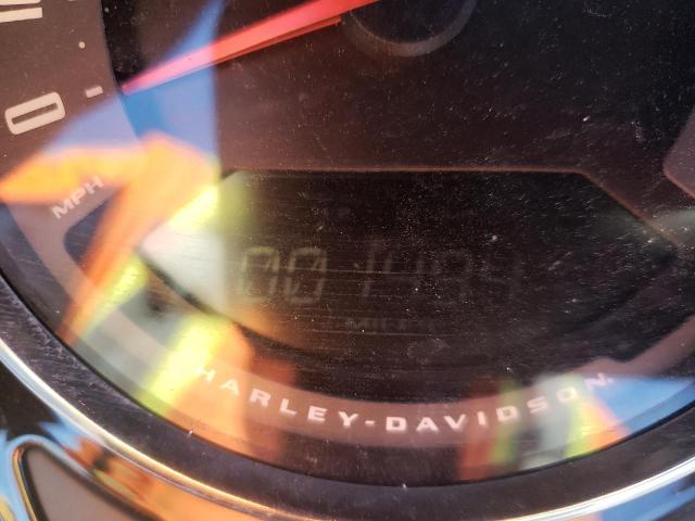 2021 HARLEY-DAVIDSON FLSL 1HD1YDJ19MB016721