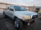 2005 TOYOTA  TACOMA