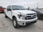 2014 FORD  F-150