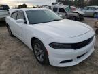 2019 DODGE  CHARGER