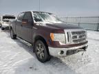 2010 FORD  F-150