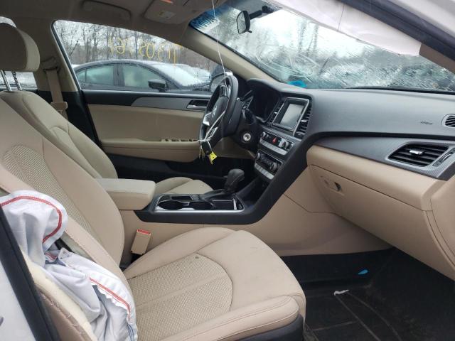 2019 HYUNDAI SONATA SE - 5NPE24AF3KH817950