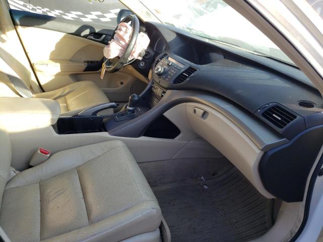2010 ACURA TSX JH4CU2F63AC016166