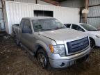 2010 FORD  F-150