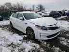 2016 KIA  OPTIMA