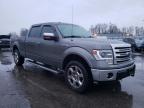 2013 FORD  F-150