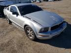 2005 FORD  MUSTANG