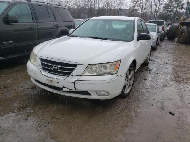 5NPEU46C99H508812 Hyundai Sonata Se 2009. Фото: 1