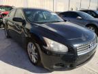 2009 NISSAN  MAXIMA