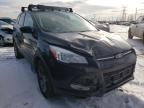 2014 FORD  ESCAPE