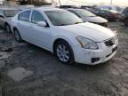 2007 NISSAN  MAXIMA