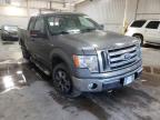 2010 FORD  F-150