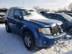 2010 FORD  ESCAPE