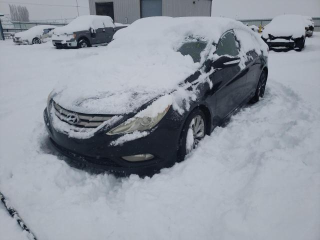 2011 HYUNDAI ACCENT GT 5NPEC4AB3BH245854