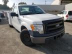 2013 FORD  F150