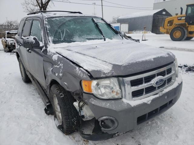 Salvage cars for sale from Copart Montreal Est, QC: 2010 Ford Escape XLT