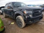 2013 FORD  F-150