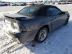 Lot #2813579778 2003 FORD MUSTANG GT