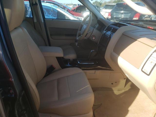 2010 FORD ESCAPE LIM 1FMCU0EG3AKA56099