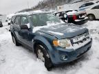 2011 FORD  ESCAPE