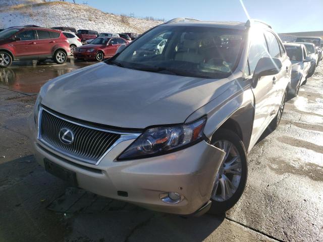2011 LEXUS RX 450 JTJBC1BA6B2421558