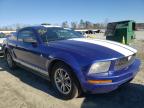 2005 FORD  MUSTANG