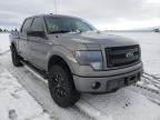 2014 FORD  F150