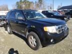 2008 FORD  ESCAPE