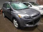 2014 FORD  ESCAPE