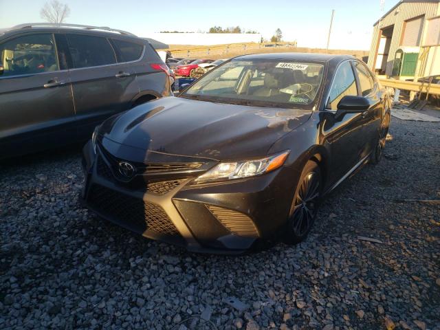2019 TOYOTA CAMRY 4C 4T1B11HK2KU728122