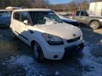 2011 KIA  SOUL