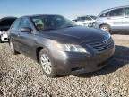 2007 TOYOTA  CAMRY