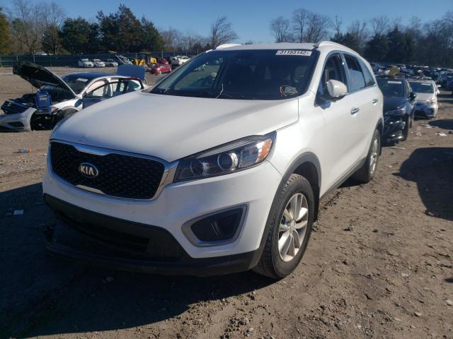 5XYPG4A32GG101233 Kia Sorento Lx 2016. Фото: 1