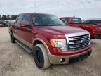 2013 FORD  F-150