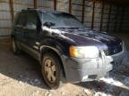 2004 FORD  ESCAPE