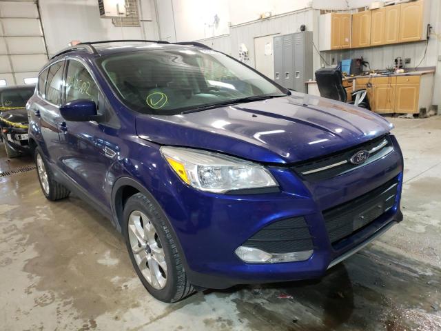 Salvage cars for sale from Copart Columbia, MO: 2013 Ford Escape SE