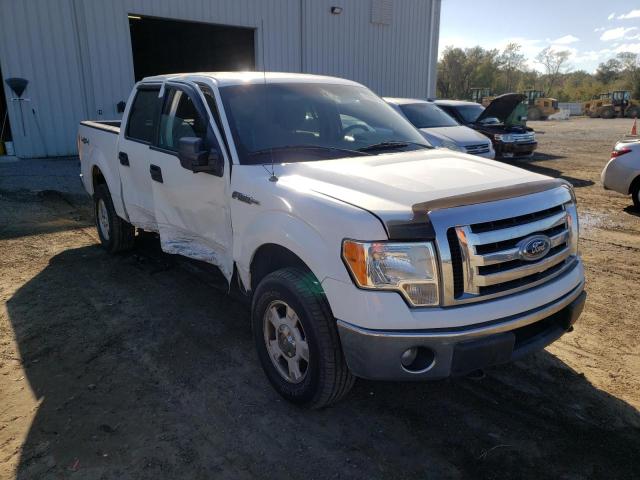 Salvage cars for sale from Copart Jacksonville, FL: 2012 Ford F150 Supercrew
