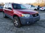 2007 FORD  ESCAPE