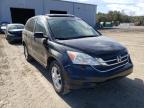 2010 HONDA  CRV