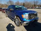 2013 FORD  F-150