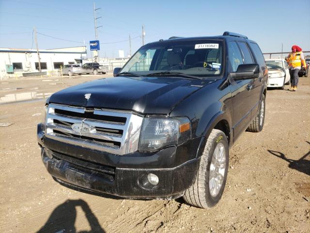 1FMJU1K55BEF07355 Ford Expedition 2011. Фото: 1