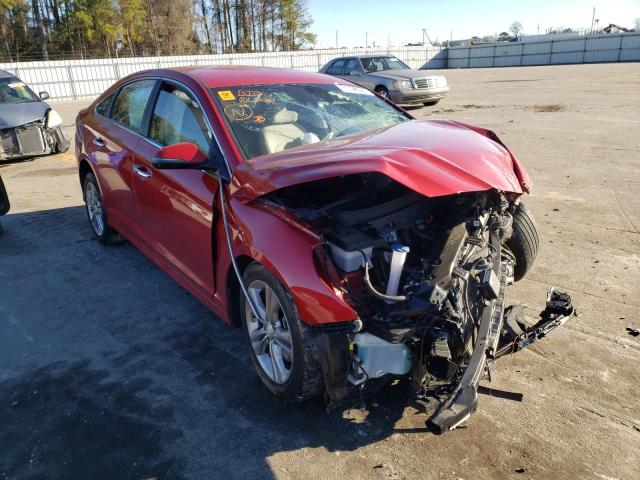 2019 HYUNDAI SONATA LIM 5NPE34AF1KH745028