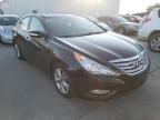 2013 HYUNDAI  SONATA