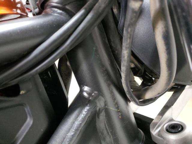 2019 HONDA CMX300 MLHNC5305K5200316
