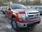 2014 FORD  F-150