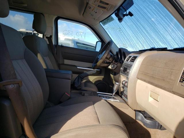 2010 DODGE NITRO SXT 1D4PT5GK8AW124139