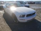 2006 FORD  MUSTANG