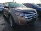 2013 FORD  EDGE