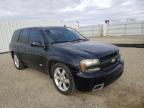 2007 CHEVROLET  TRAILBLZR